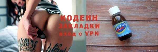 индика Богородск