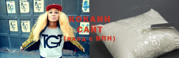 индика Богородск