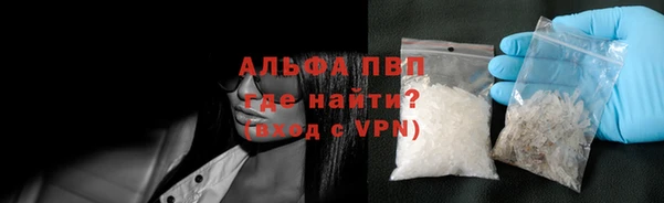 индика Богородск