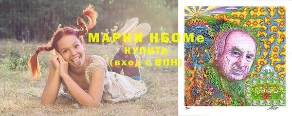 индика Богородск