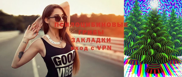 винт Богданович