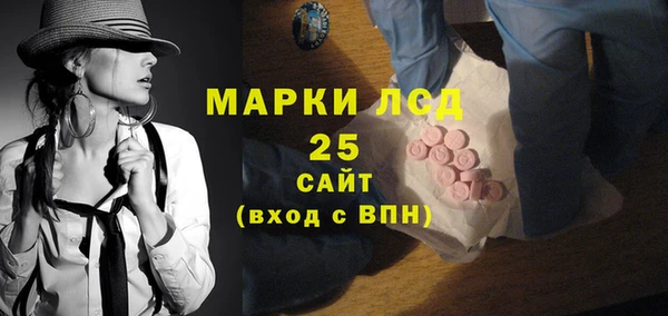 индика Богородск