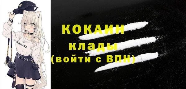 индика Богородск