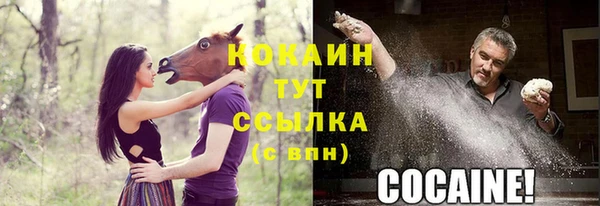 спайс Богородицк