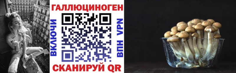 Галлюциногенные грибы MAGIC MUSHROOMS  Гулькевичи 